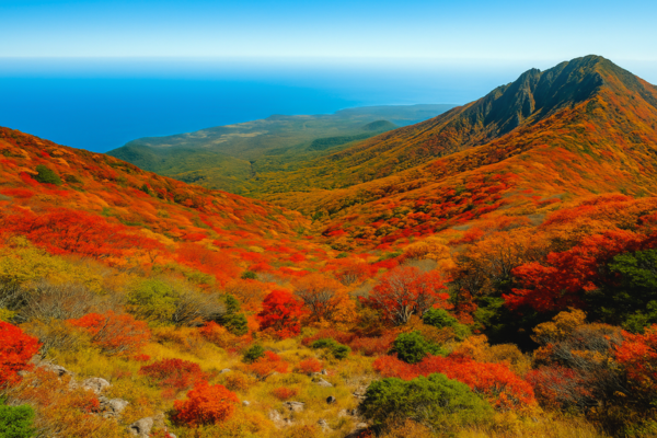 秋の漢拏山から望む、山頂から海まで続く紅葉の絶景