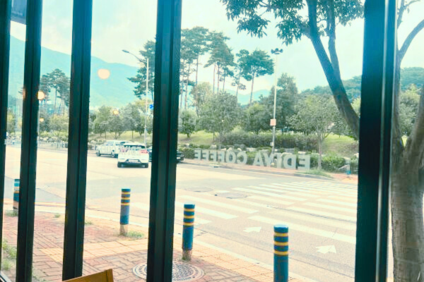 ヤンサンのカフェEDIYA COFFEEの窓辺から見える道路と公園。静かな街の風景と山並みが広がるリラックスした空間